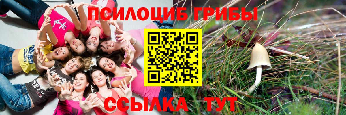 Псилоцибиновые грибы GOLDEN TEACHER Пенза
