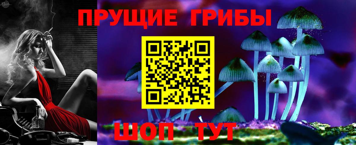 Галлюциногенные грибы GOLDEN TEACHER  Галлюциногенные грибы прущие грибы  Пенза  Вход с VPN 
